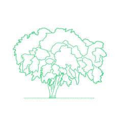 Plants Deciduous Trees American Elm Tree Vinyl Svg File, Free Vectors File